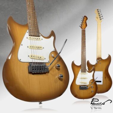 Panico Guitars V series V155T