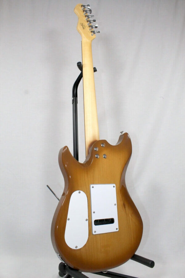 Panico Guitars V series V155T