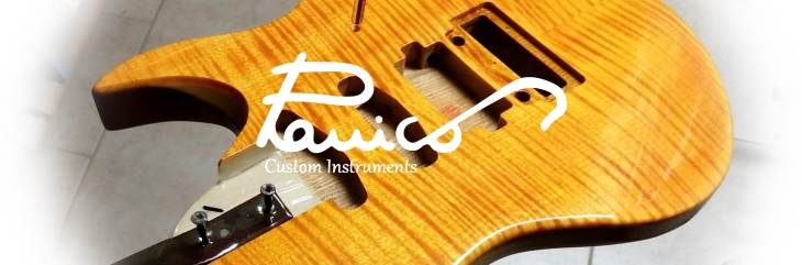 Panico Guitars 1 a