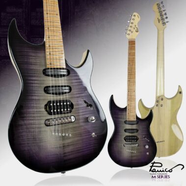 Panico Guitars M Series M175T Foto 2