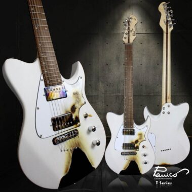 Panico Guitars T Series T555 Foto