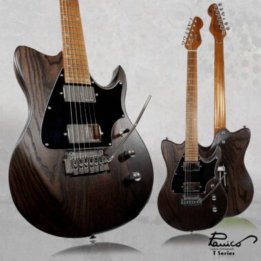 Panico Guitars T Series T555T