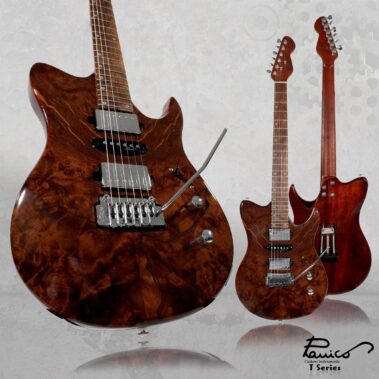 Panico Guitars T Series T557T
