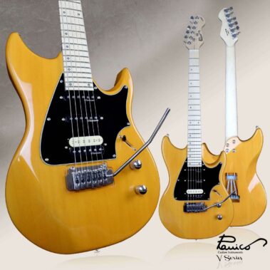 Panico Guitars V Series V135T Foto (2)