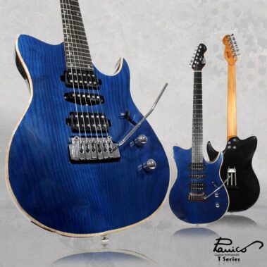 Panico-Guitars-T-series-T566T