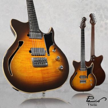 Panico Guitars S Series S569