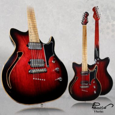 Panico Guitars S Series S579