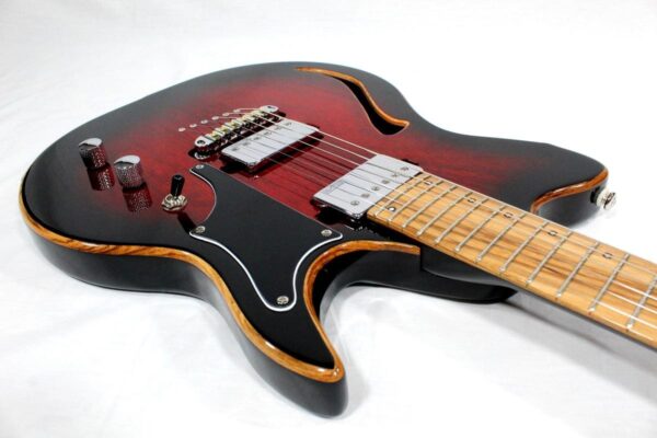 Panico Guitars S Series S579