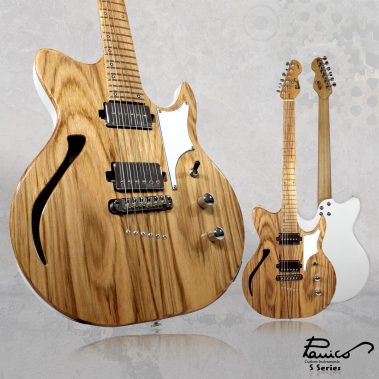 Panico Guitars S Series S579