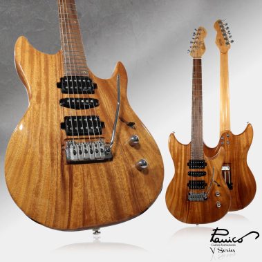 Panico Guitars V Series V155T