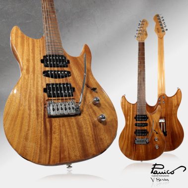 Panico Guitars V Series V155T 00
