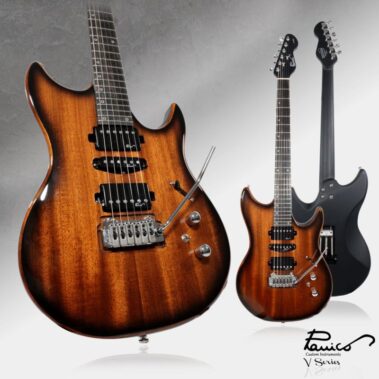 Panico Guitars V series V565T