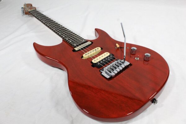 Panico Guitars M Series M555T