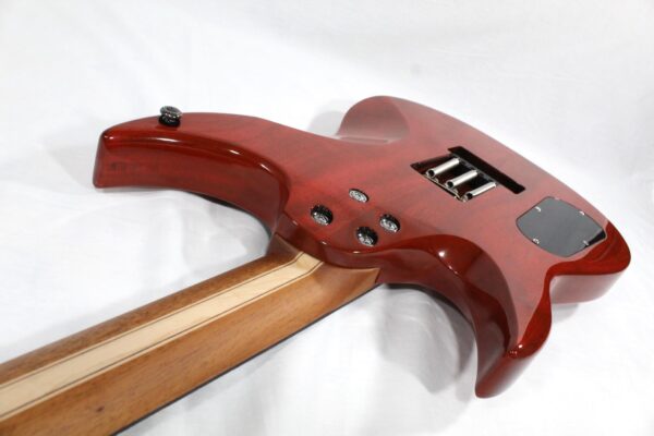 Panico Guitars M Series M555T