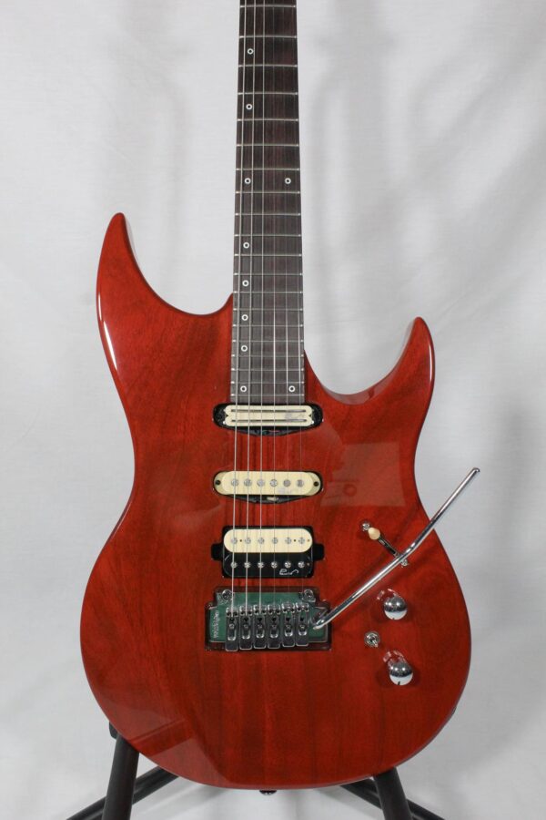 Panico Guitars M Series M555T