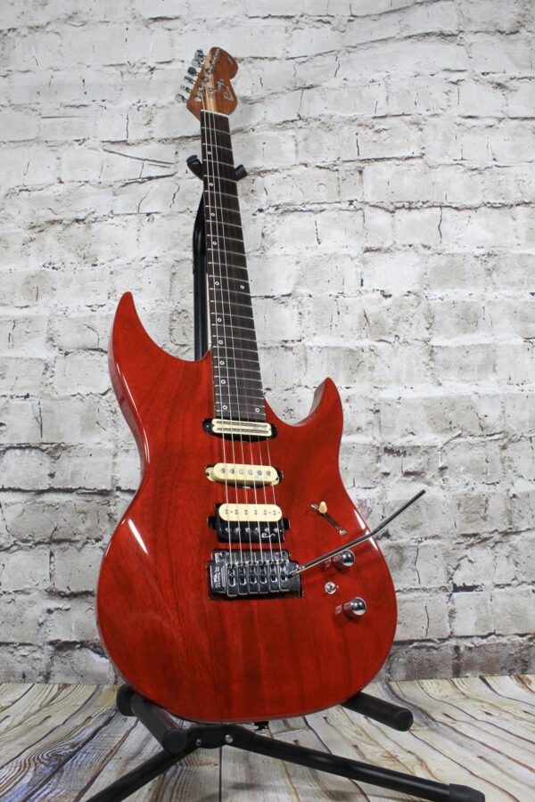 Panico Guitars M Series M555T