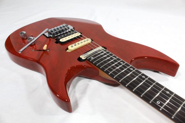 Panico Guitars M Series M555T