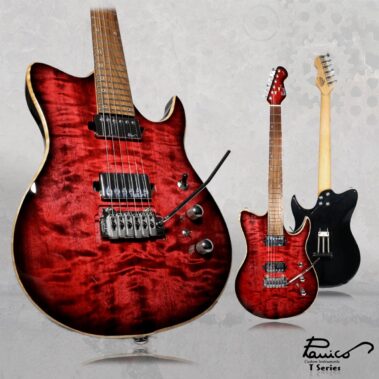 Panico Guitars T Series T156T